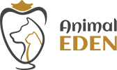 anima eden marketing